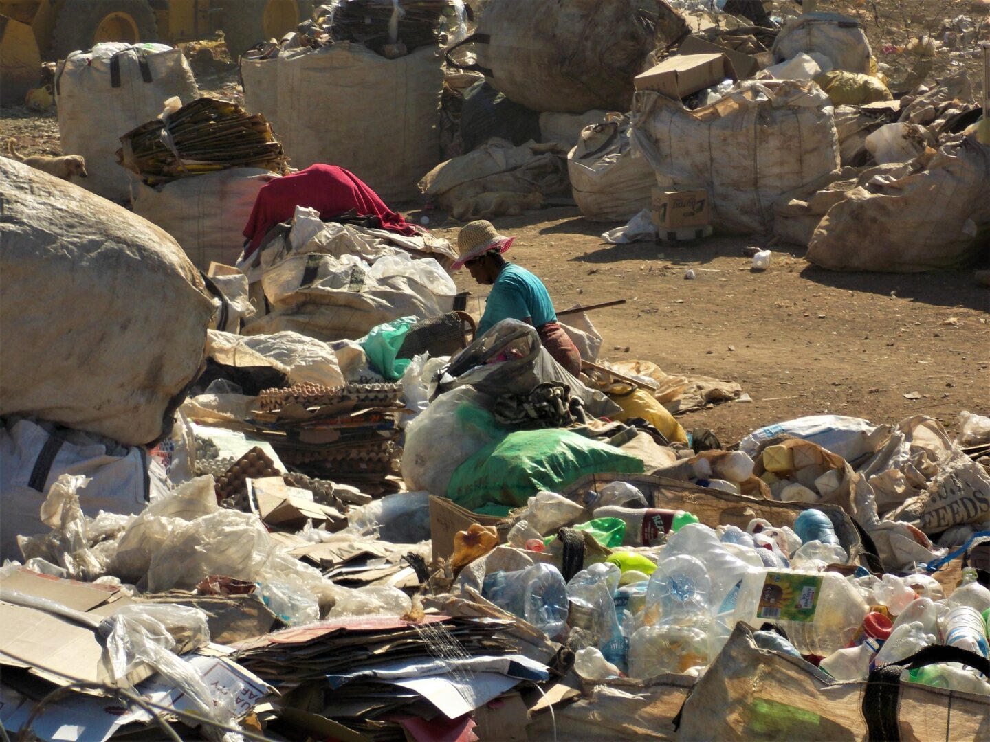 waste pickers, South Africa
