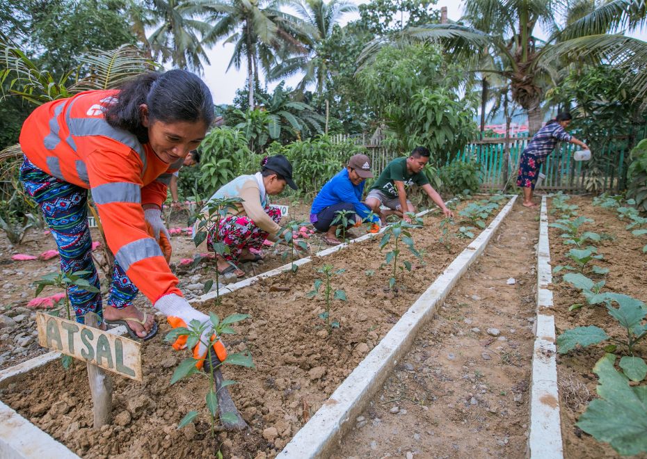 People working on a vegetable garden
