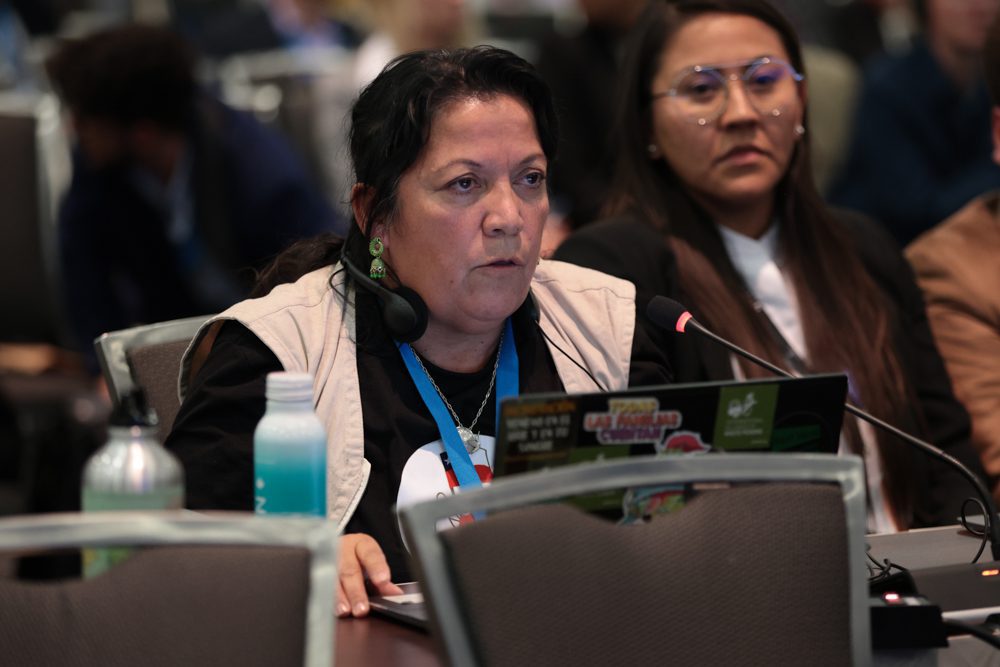 Waste picker representative speaks into microphone at plastics treaty negotiations.