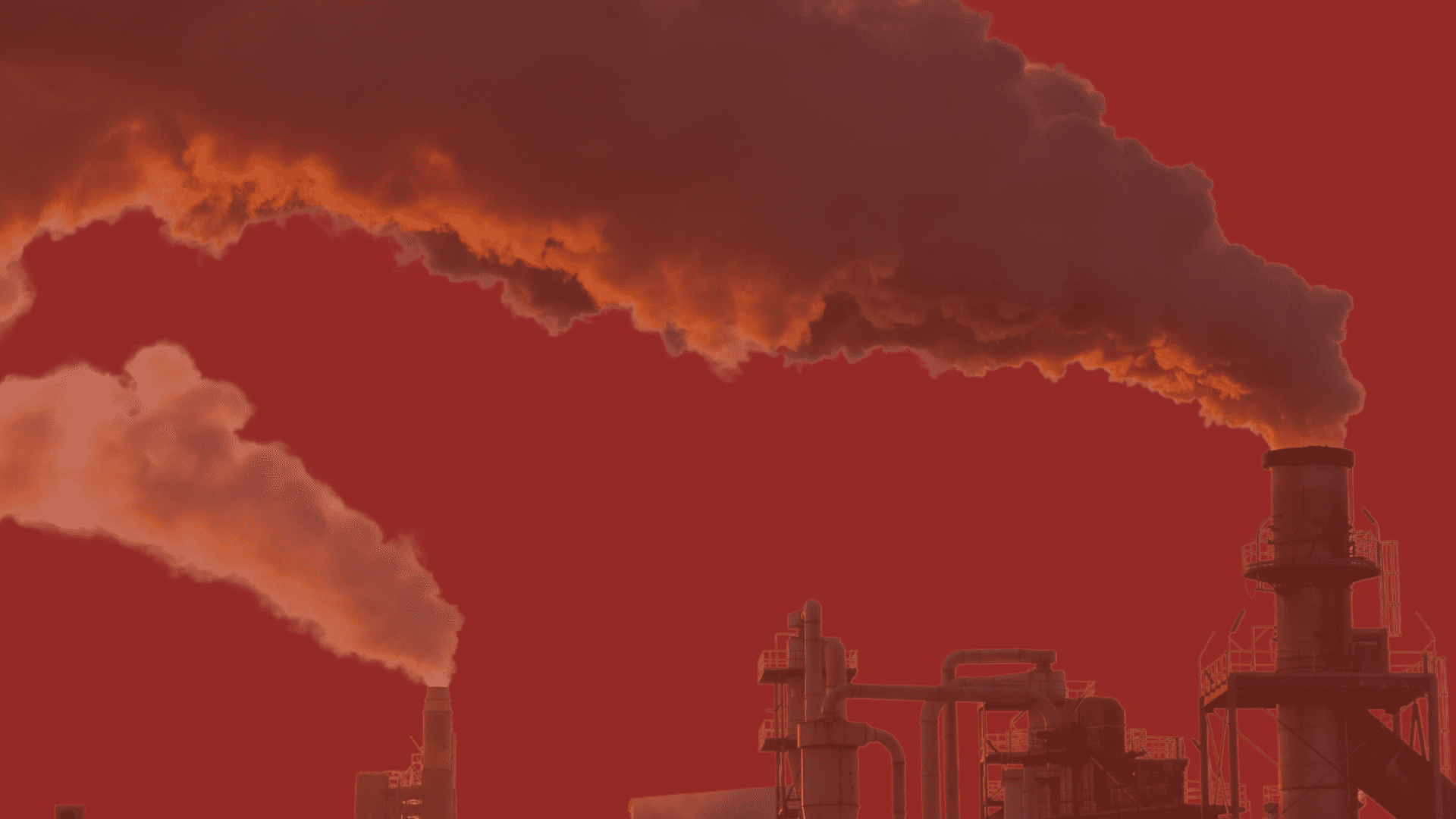 interior WORLD CLEAN-UP DAY 2024 banner image