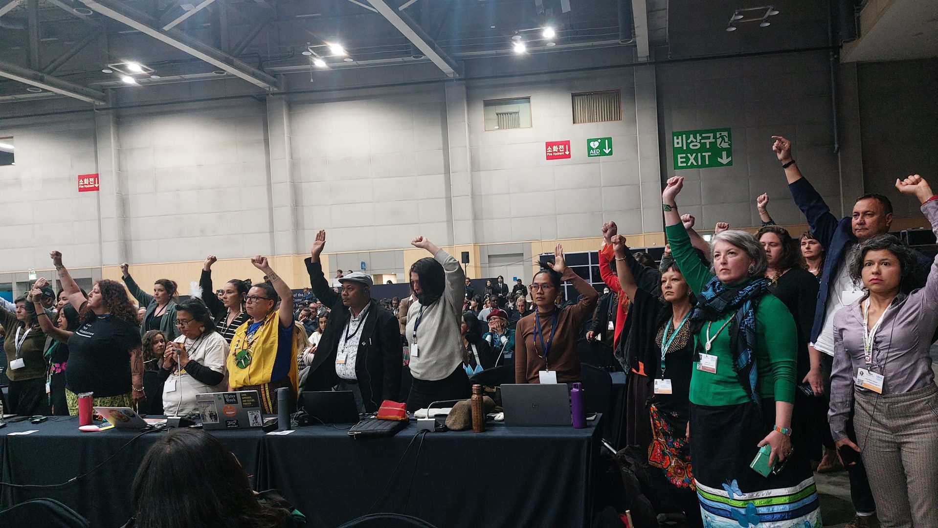 Indigenous Peoples Forum on Plastics and observers stand in solidarity to request to speak at the plenary