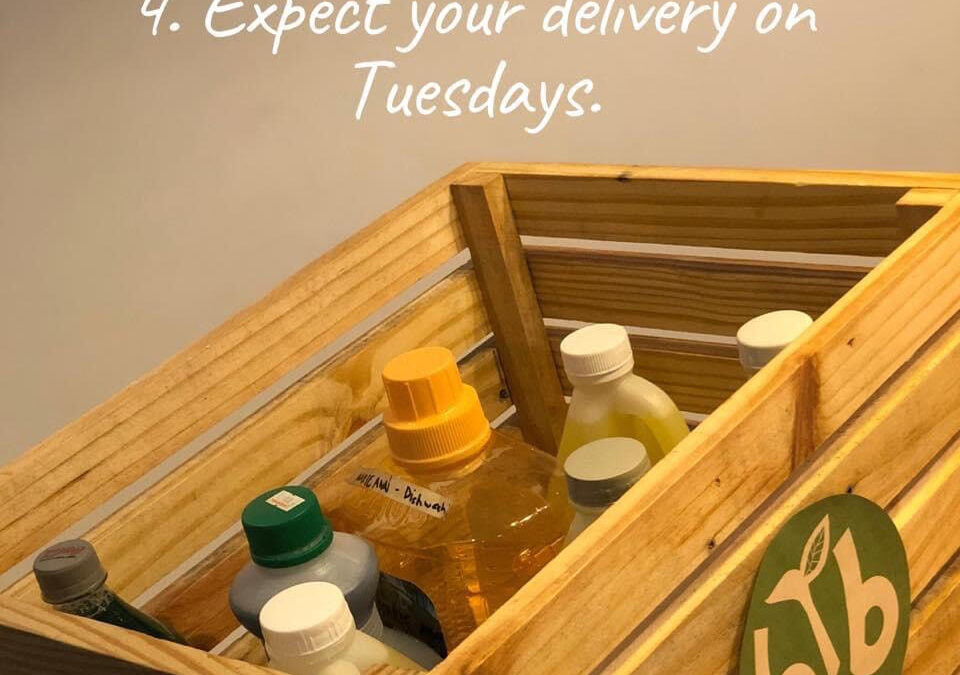 Going BACK TO THE BASICS to Move Forward